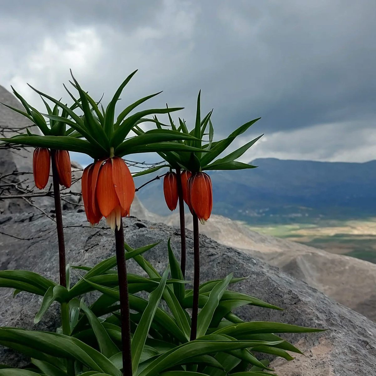 Pusholder tweet media