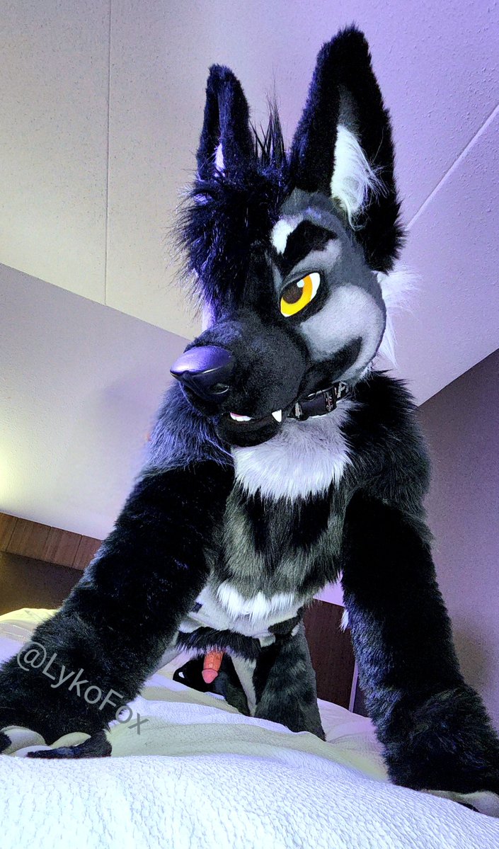 Lyko 🔜 LVFC26 tweet media