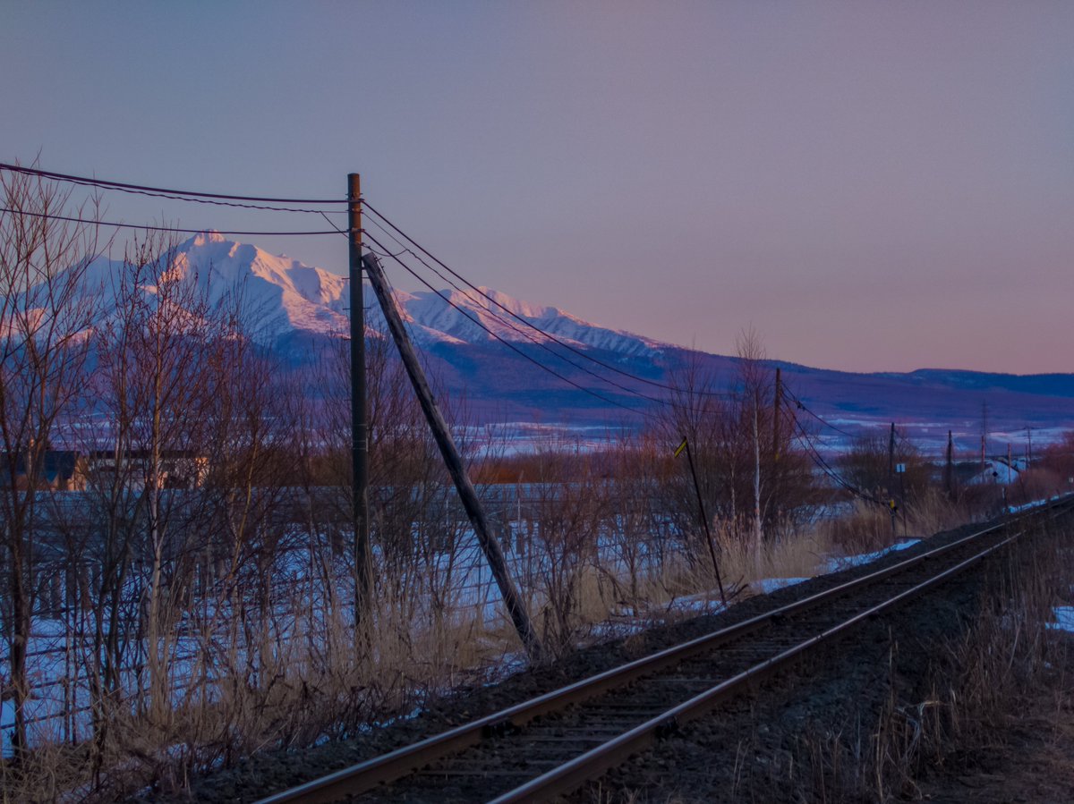 Lodge Raven @斑尾の #ヤベー宿 tweet media