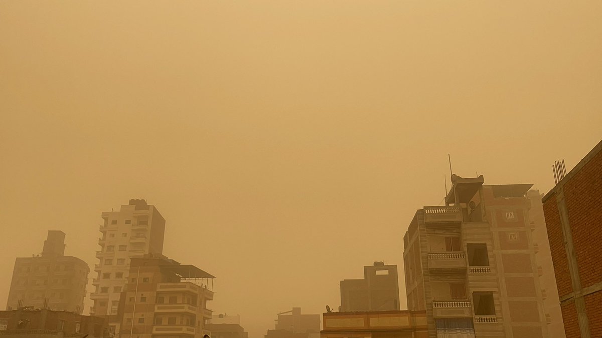 ناصر. tweet media