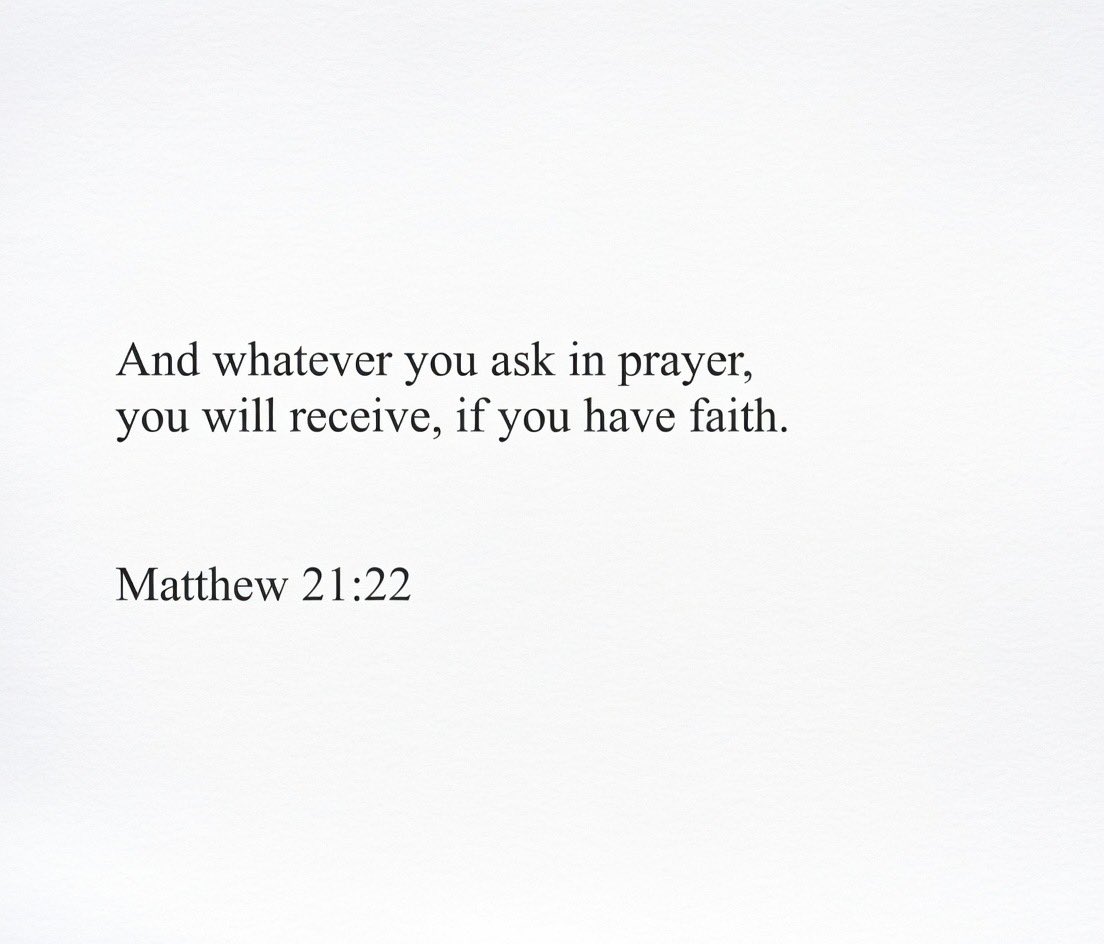 Holy Bible tweet media