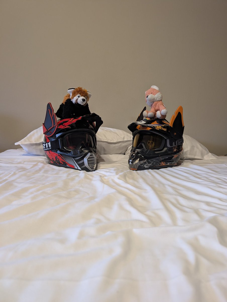 Bastos 🇫🇷🏳️🌈🇩🇿 tweet media