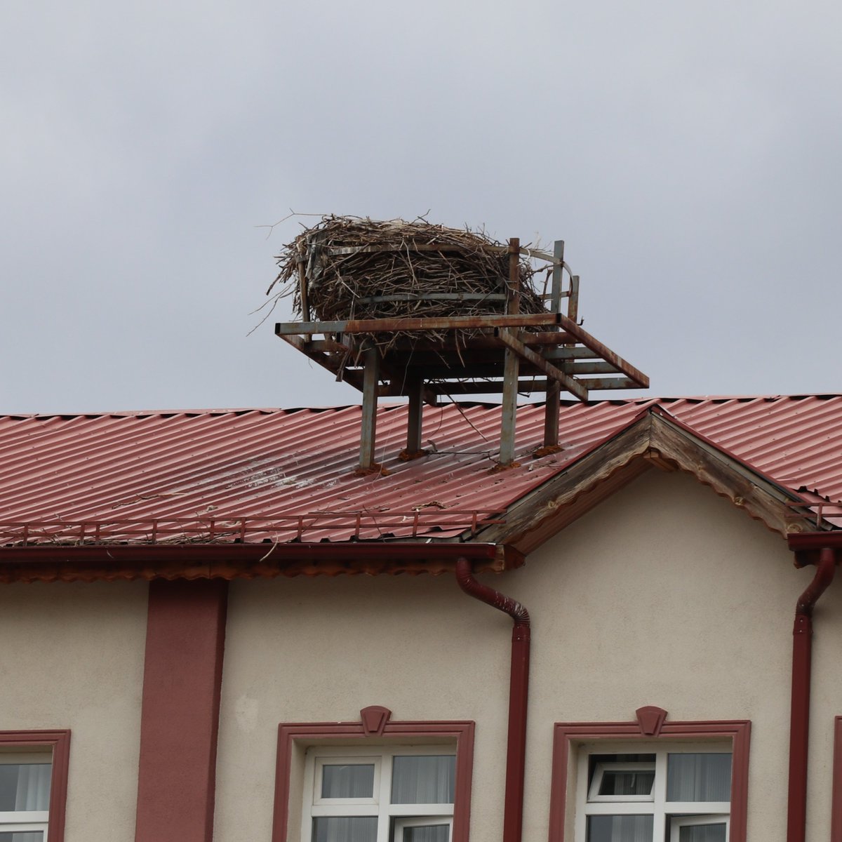 Pusholder tweet media