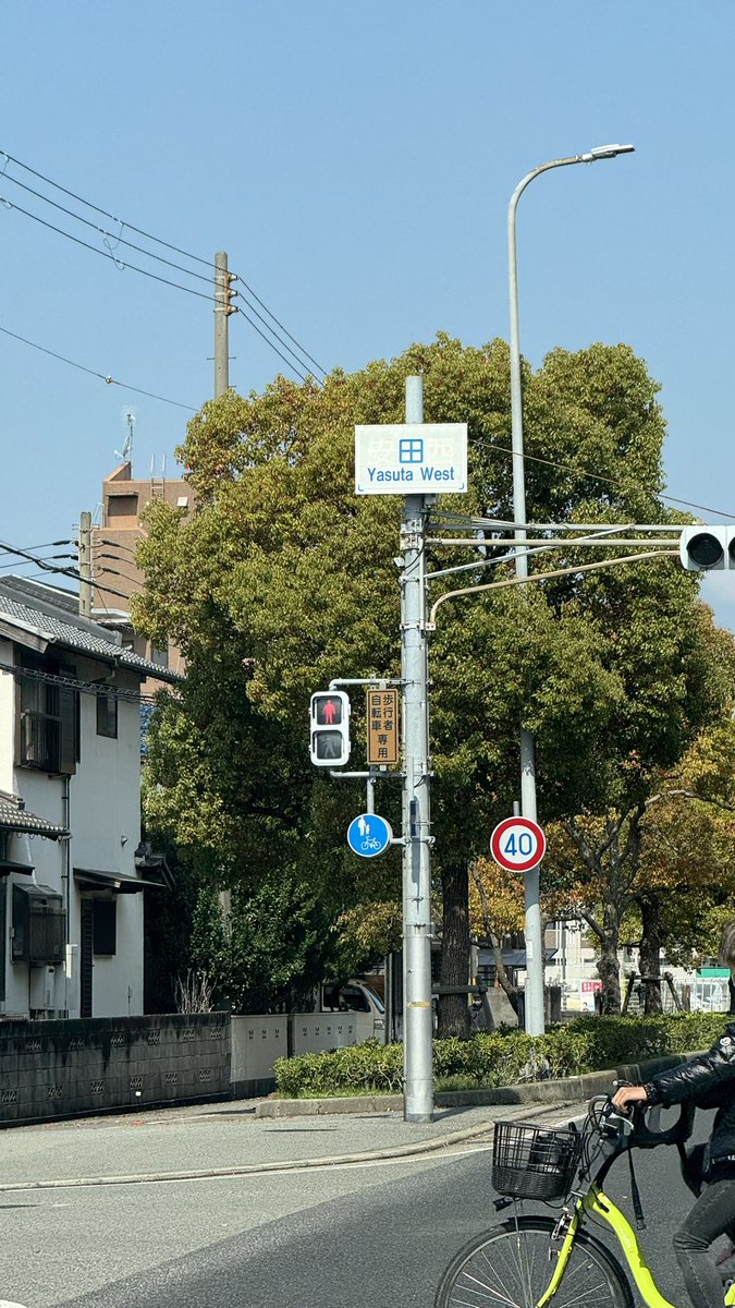 茸本 朗(たけもとあきら)　「野食ハンター茸本朗ch」公開中!! tweet media