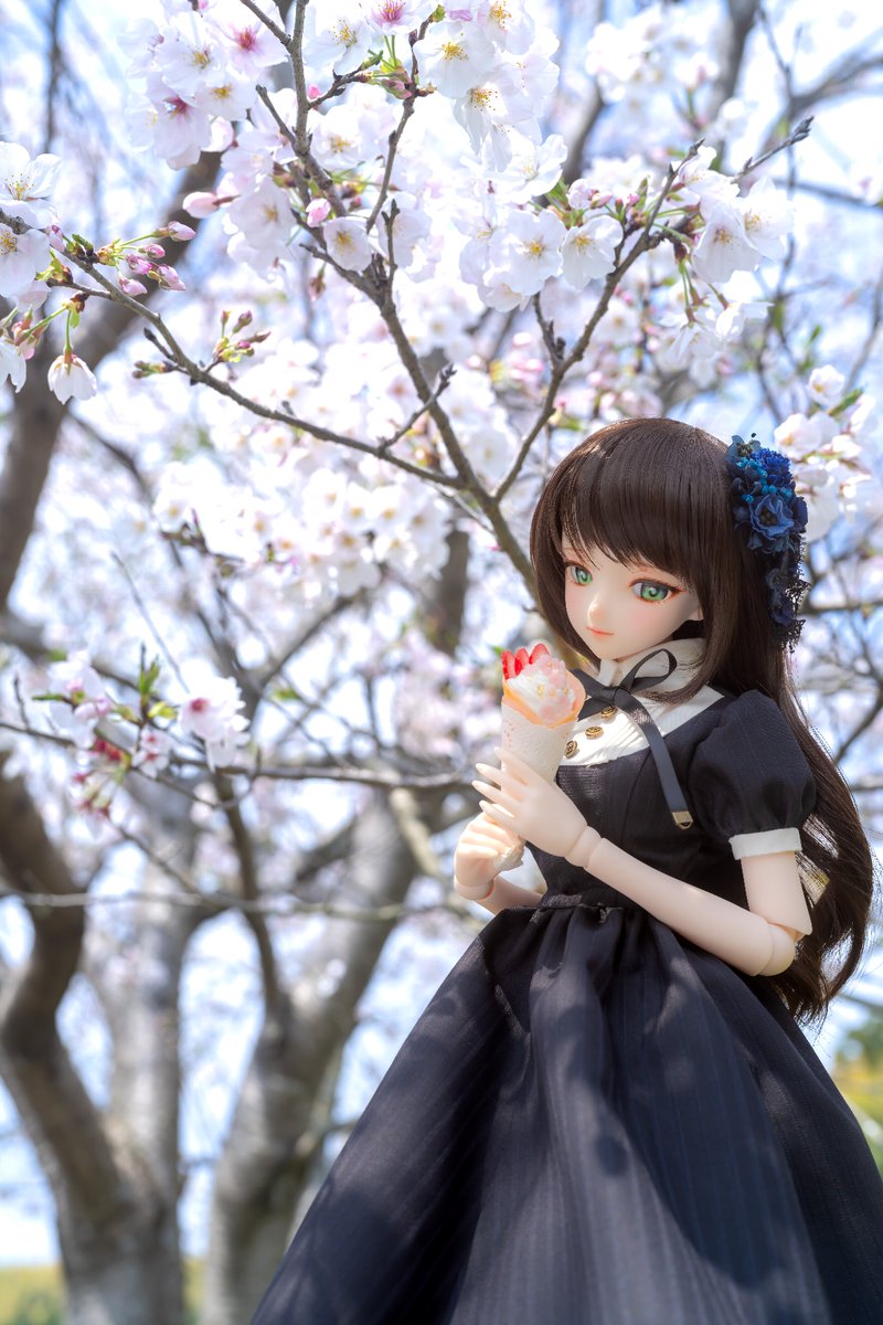 安田幸史 tweet media