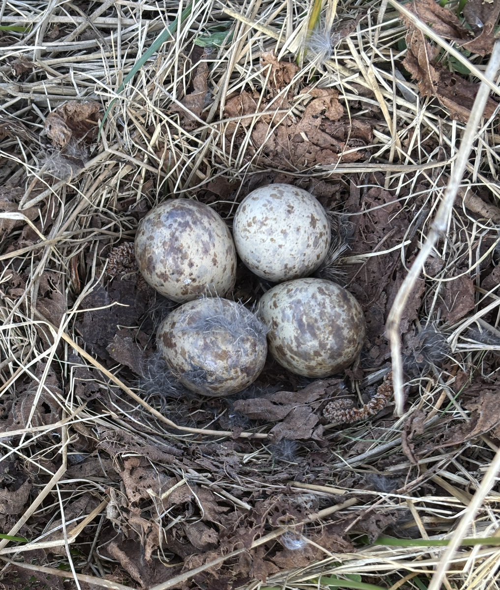 MartinWW❌ tweet media