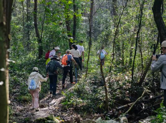 idongyang tweet media