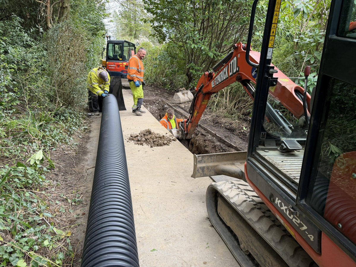 Noel Fitzpatrick Ltd tweet media