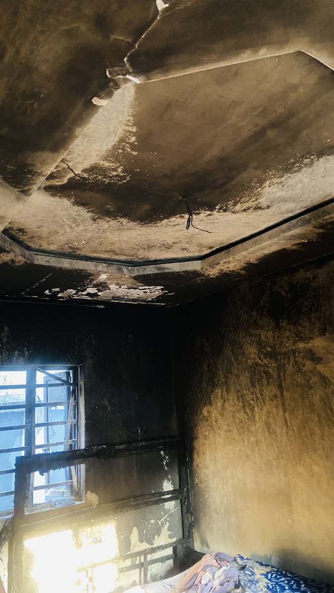 Queen Ella☢️✂️❤️ tweet media