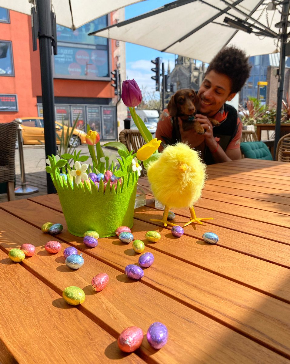 Orange Tree Hotel tweet media