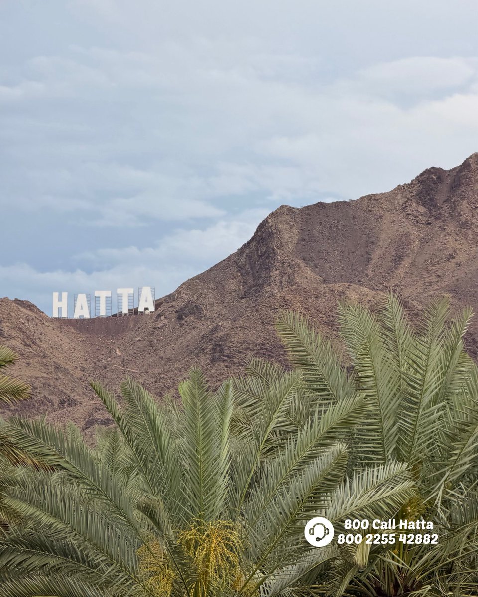 800Callhatta's tweet photo. ,

رحلة في قلب الطبيعة ، استكشف طبيعة حتا الخلابة !! 🤍

A trip in the heart of nature, explore the nature of the picturesque Hatta!!🩵

#800callhatta  #nature #naturephotography #hatta #explorehatta hattaexploring صيف_حتا_غير https://t.co/XoIlJWCz8l