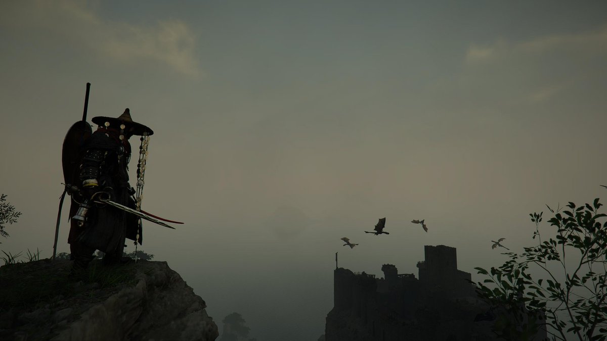 RODRI🇧🇷 tweet media