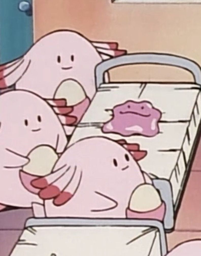 Pokémon Daily tweet media