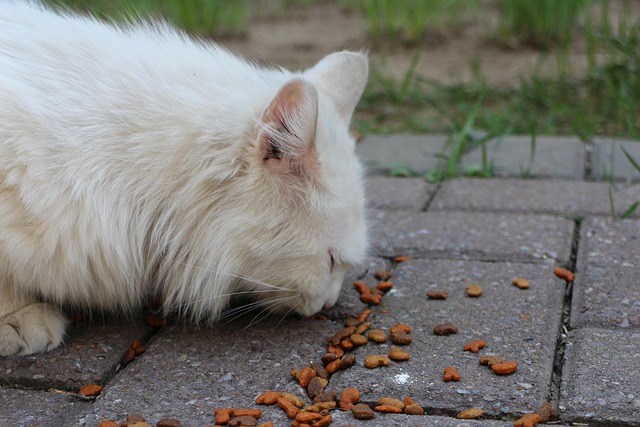 Amy Comstock tweet media