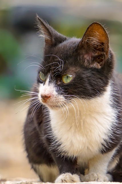 Ashley Johnson tweet media