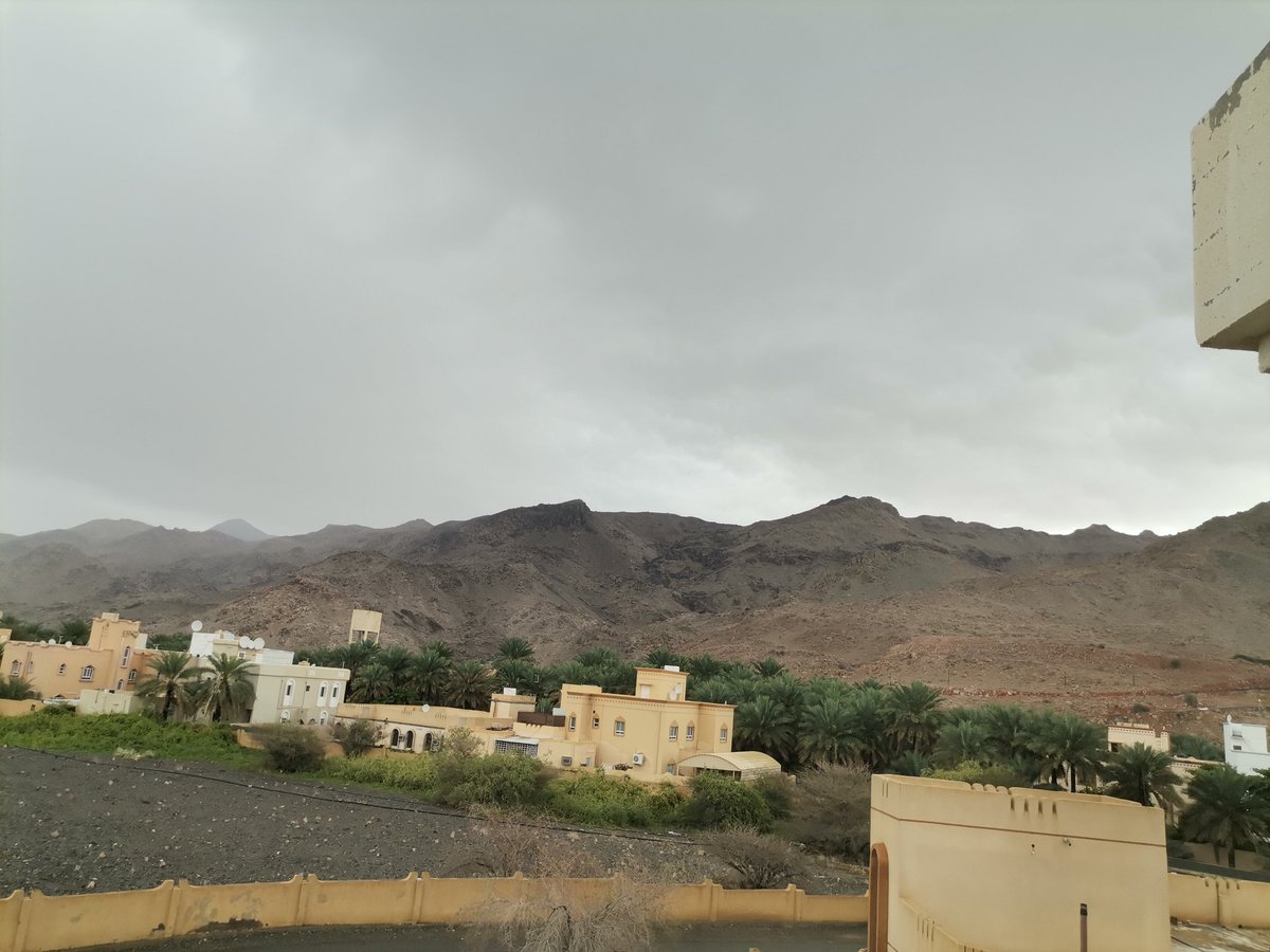 lightness wilson tweet media