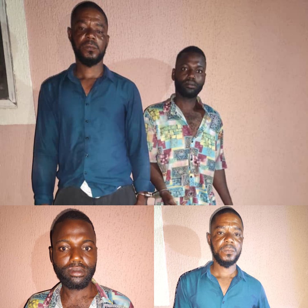 Comrade Àmọdá 🦇 tweet media