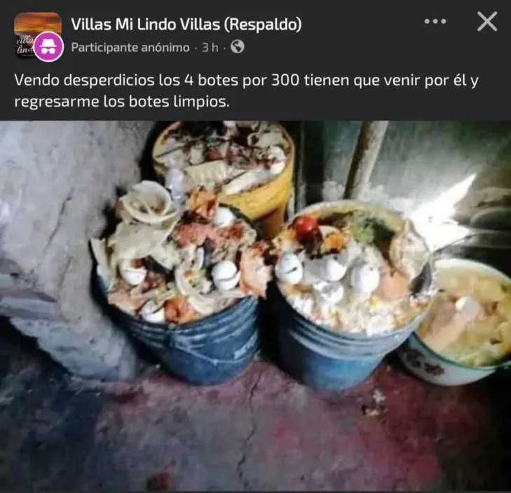 Humor contemporáneo tweet media