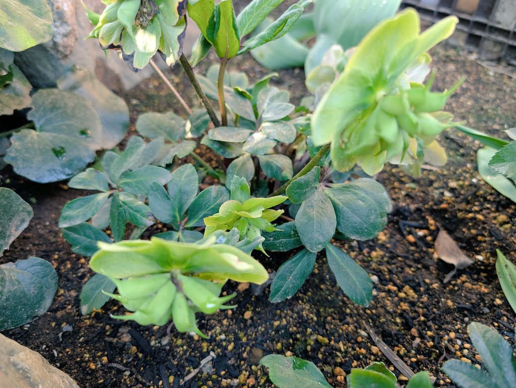 しまど/simadjp tweet media