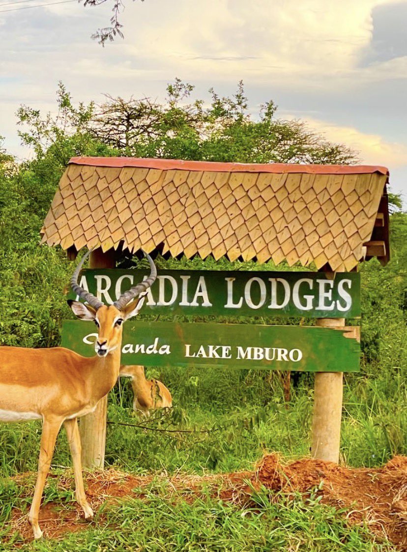 🇨🇿leone the guide🇺🇬 tweet media