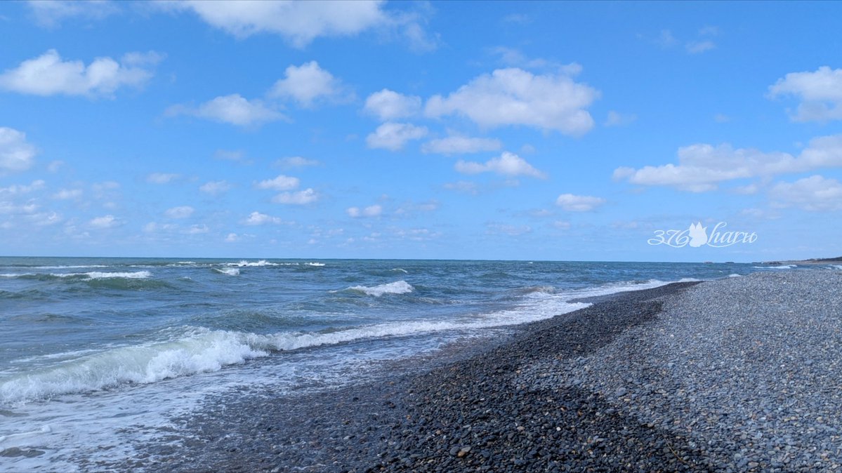 🍀ハル🍀 tweet media