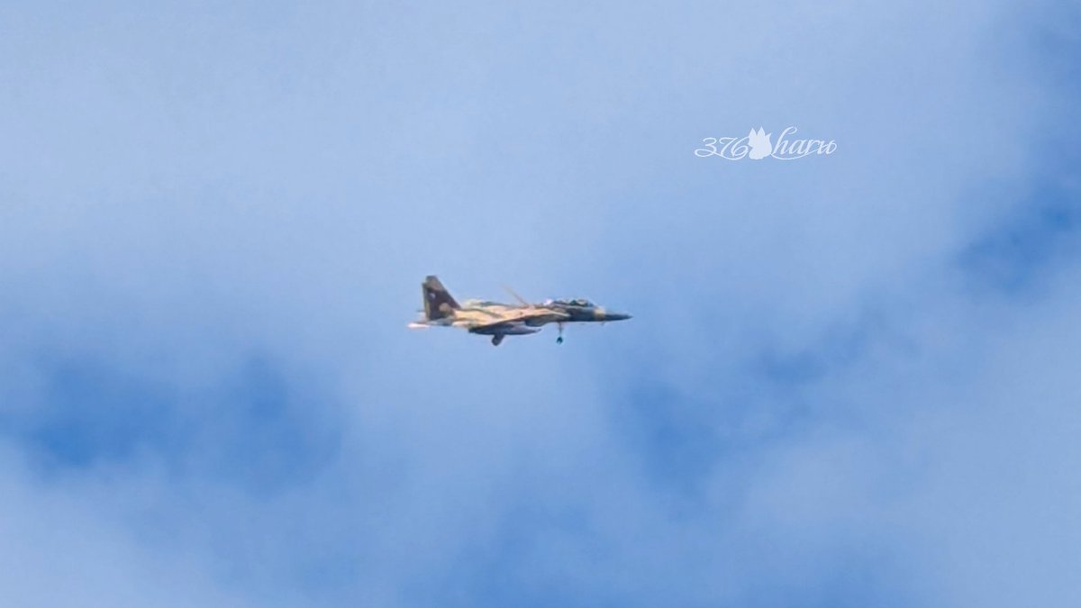 🍀ハル🍀 tweet media