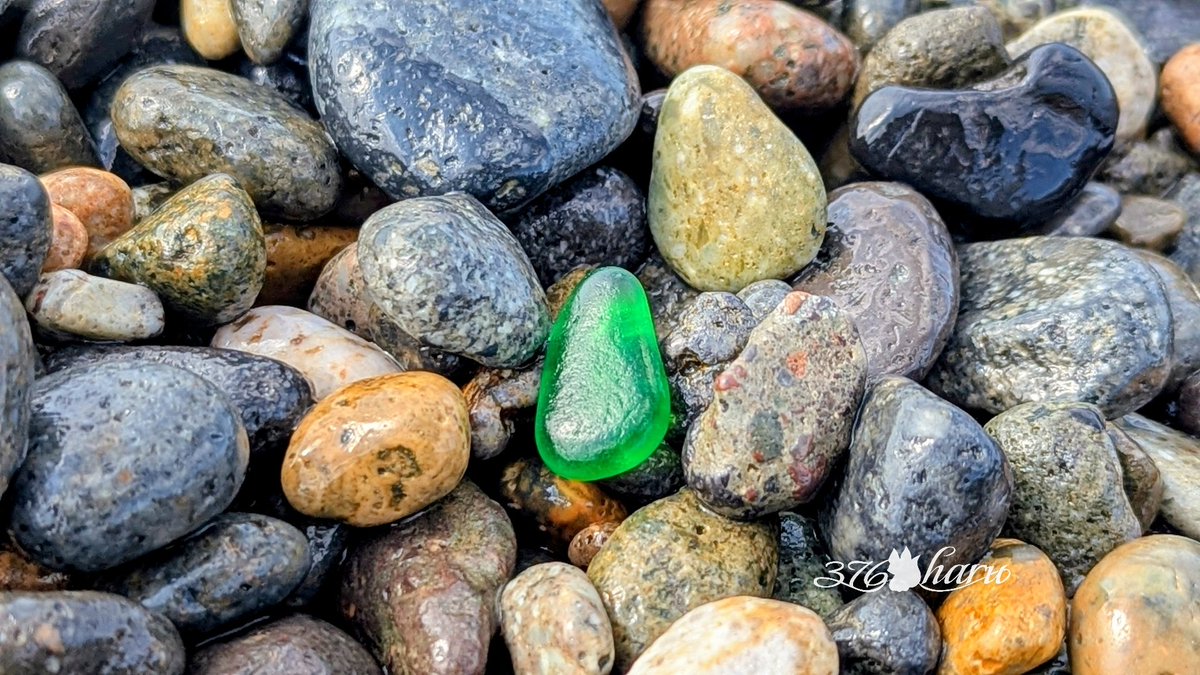 🍀ハル🍀 tweet media