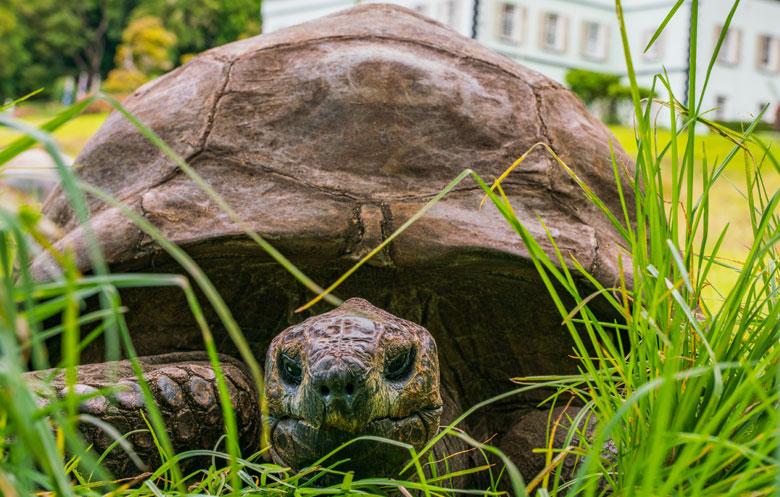 Guinness World Records tweet media