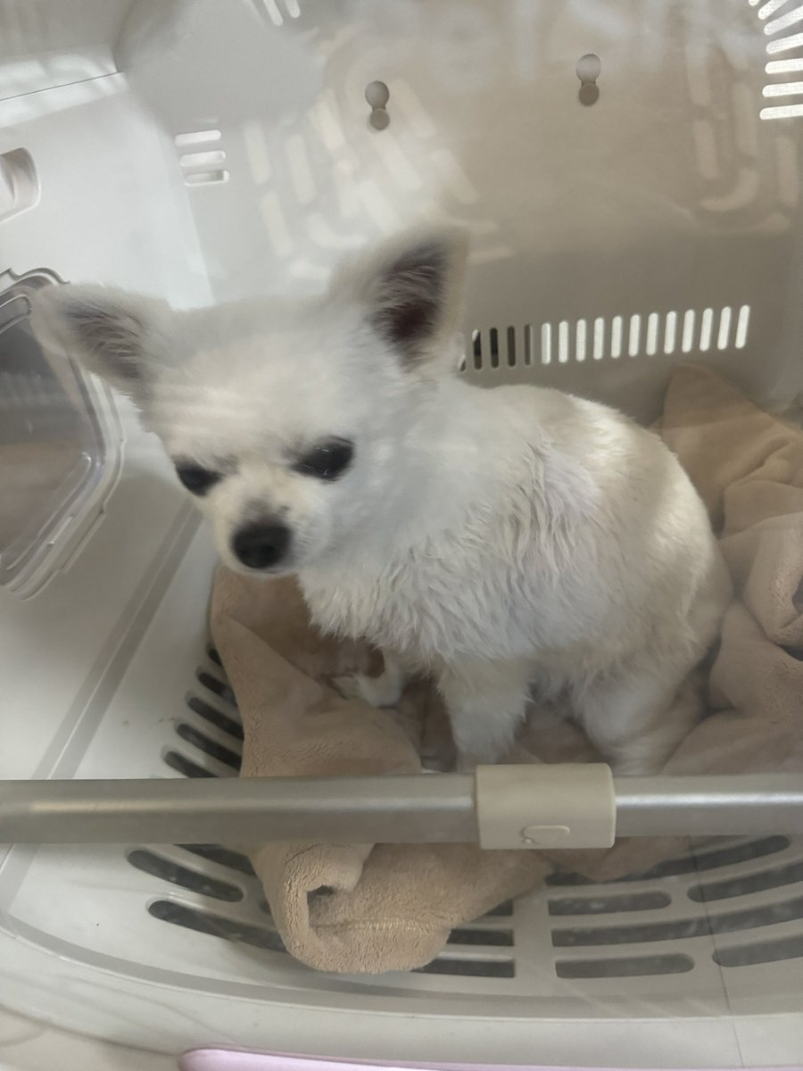 56ぽよ tweet media