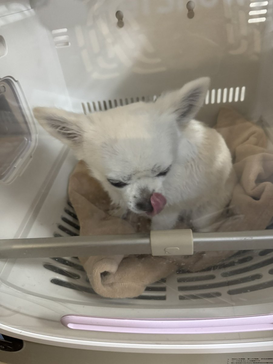 56ぽよ tweet media