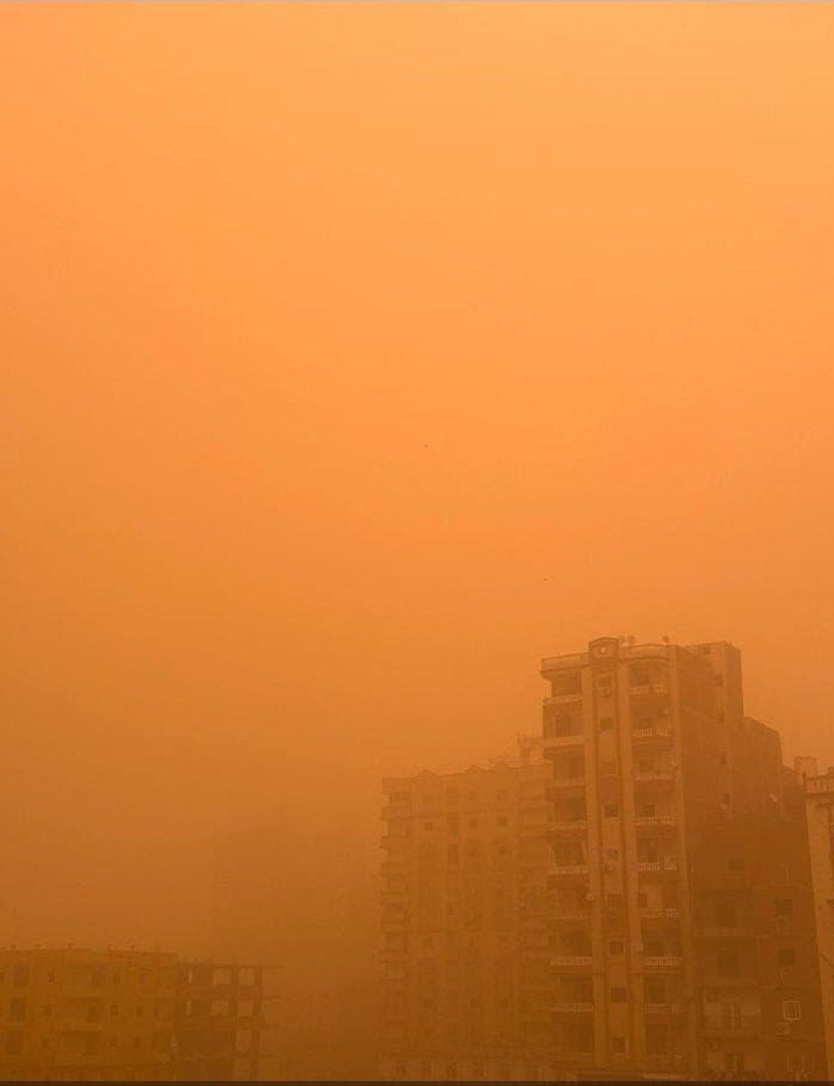 ᵝₒŋᴰOĶ tweet media