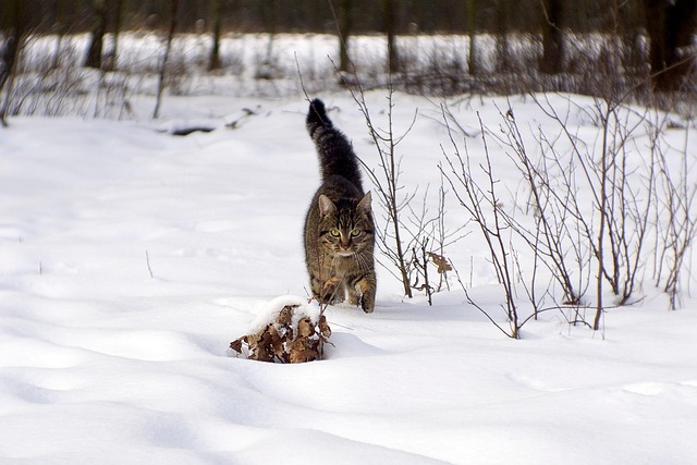 Willie Jordan tweet media