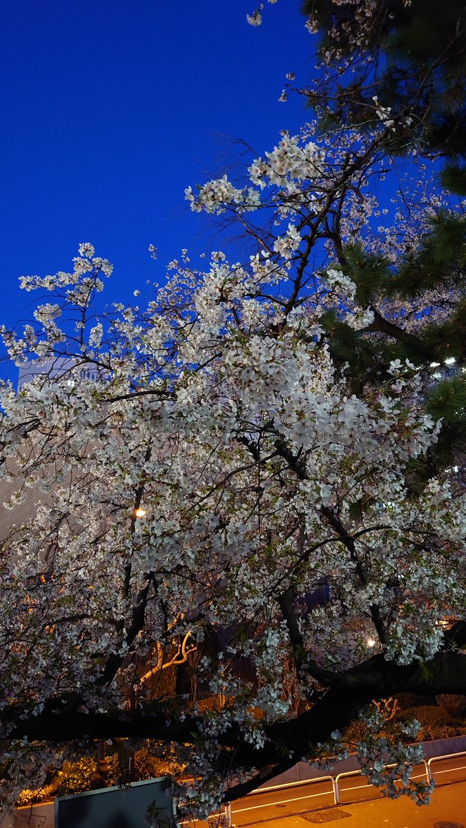 なべりんぐ tweet media