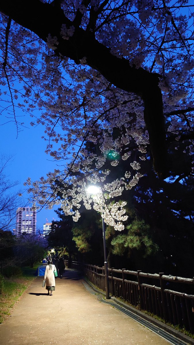 なべりんぐ tweet media