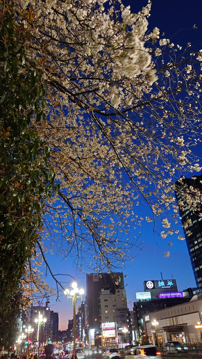 なべりんぐ tweet media