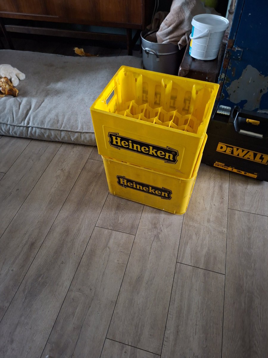 ♠QUEEN OF DARKNESS tweet media