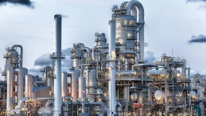 نشرة نمو tweet media