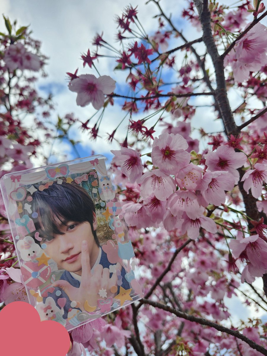 🍎🐻‍ tweet media