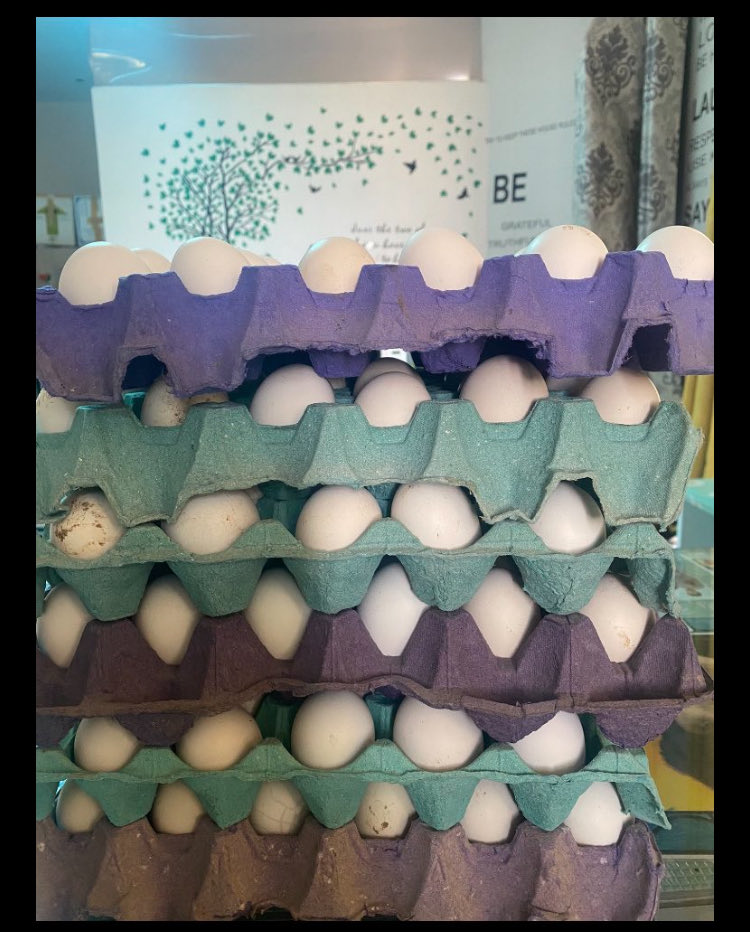 مزارع روضة النخيل العضوية tweet media