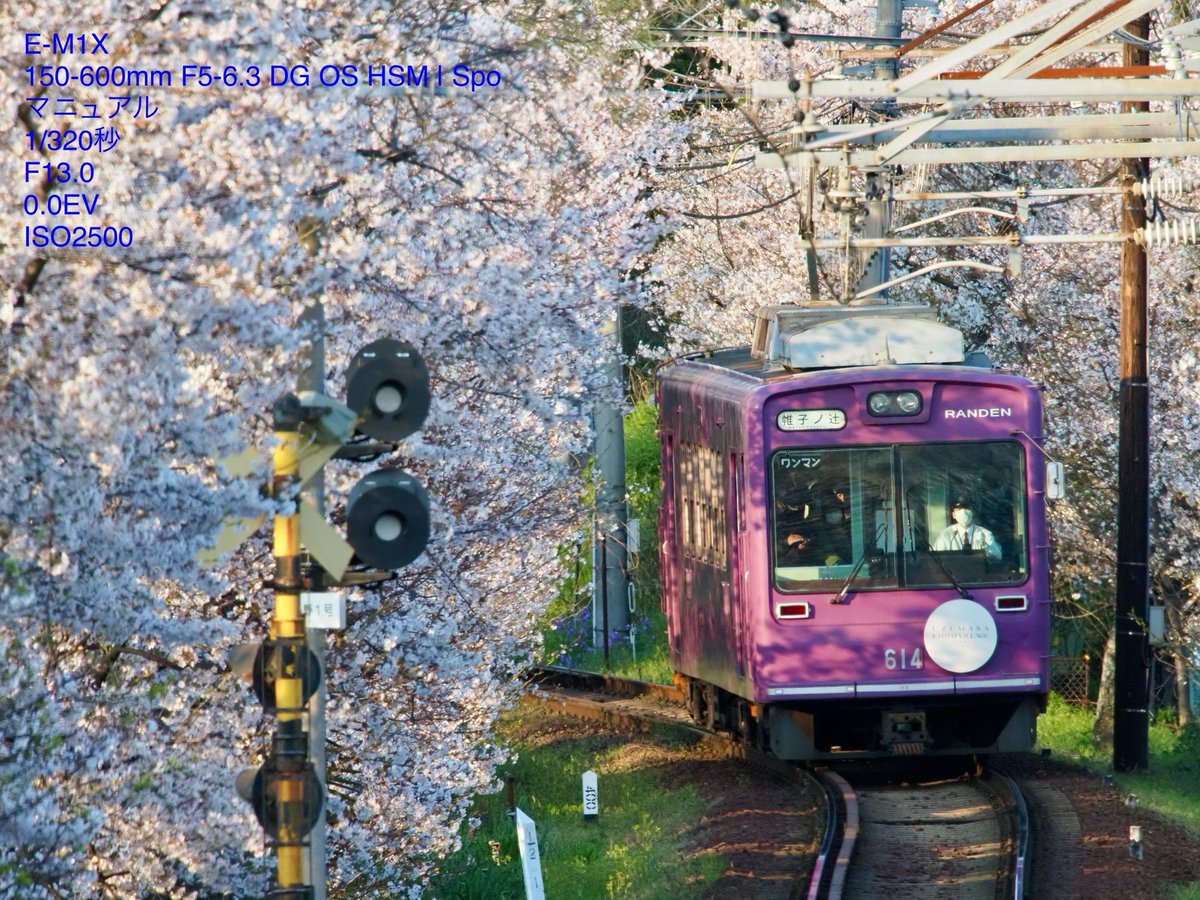 としぼう tweet media