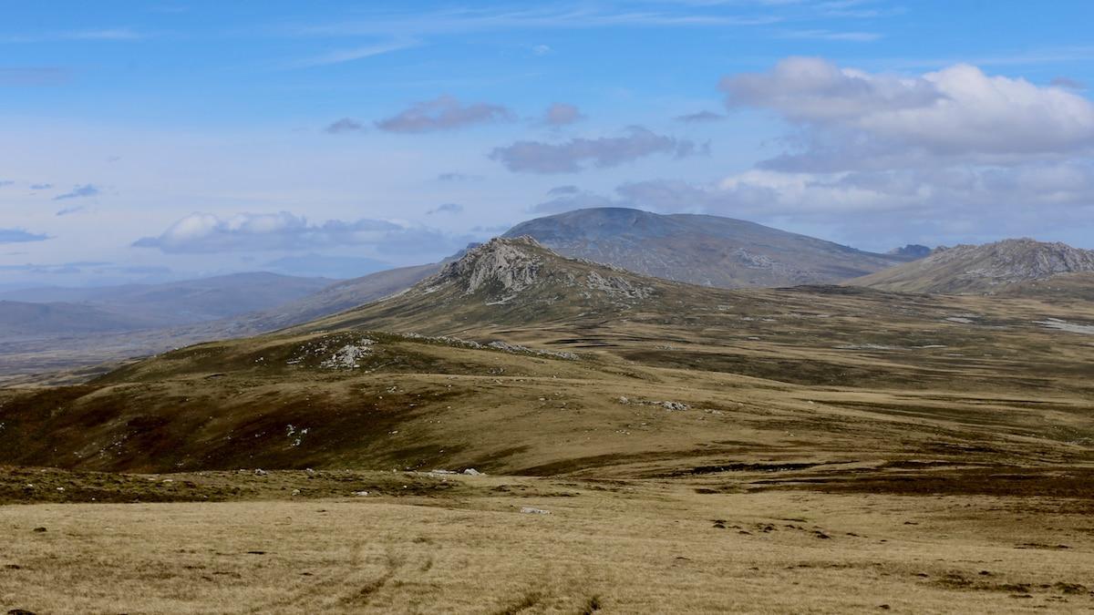 LA NACION tweet media