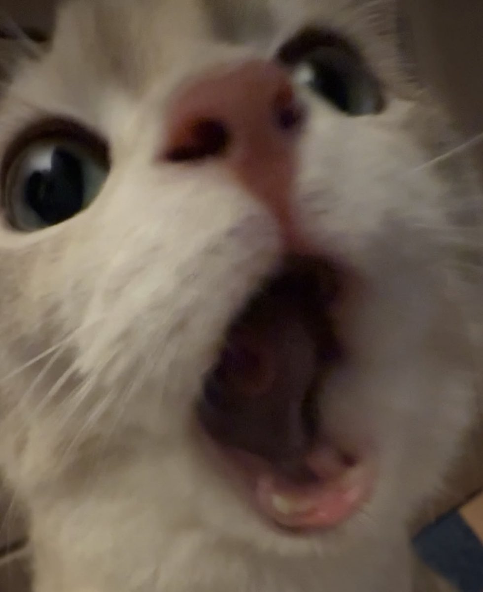 𓆉 The Main Character, Langit. tweet media