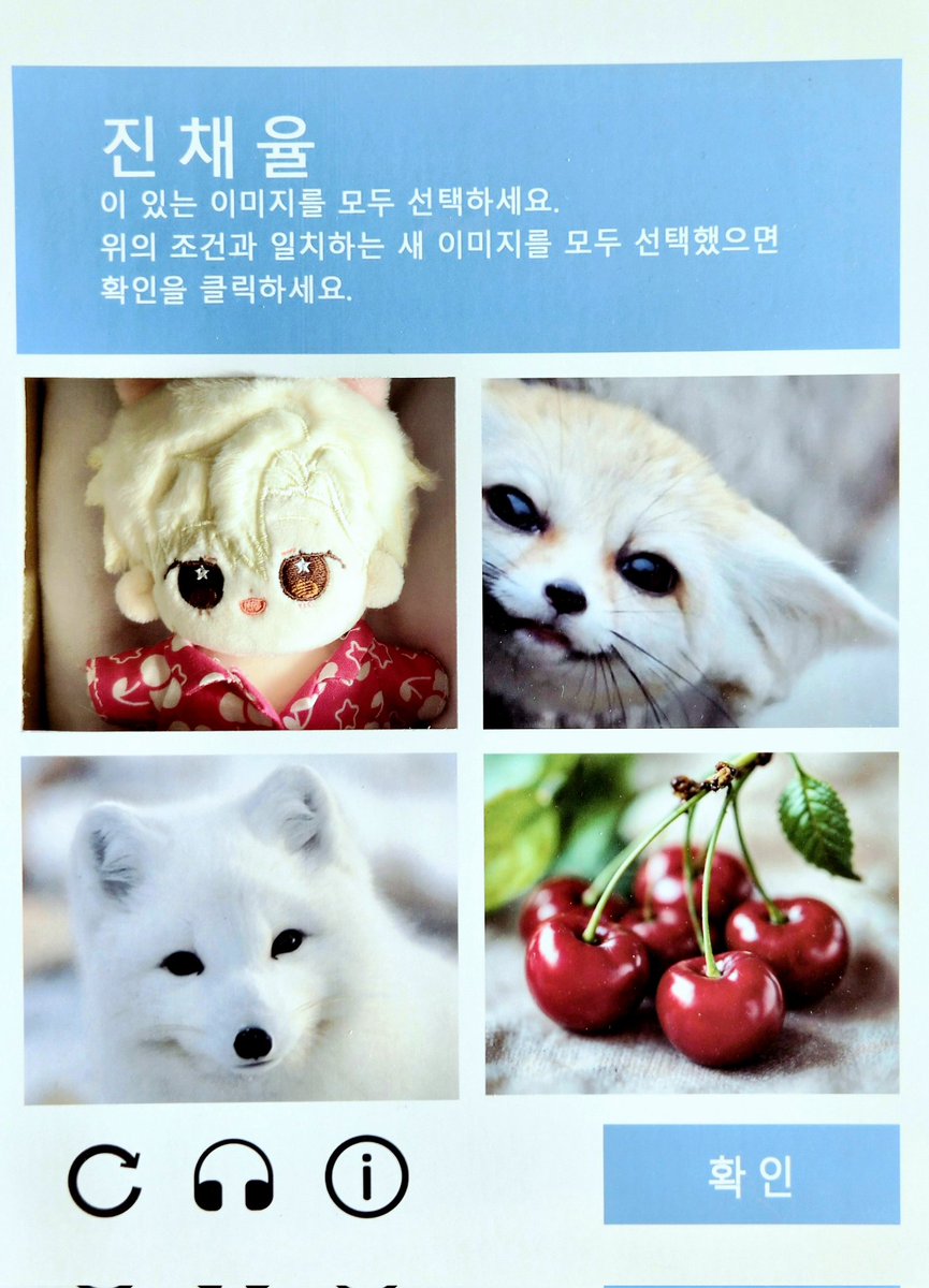 데뷔 못 하면 죽는 솜카페 tweet media