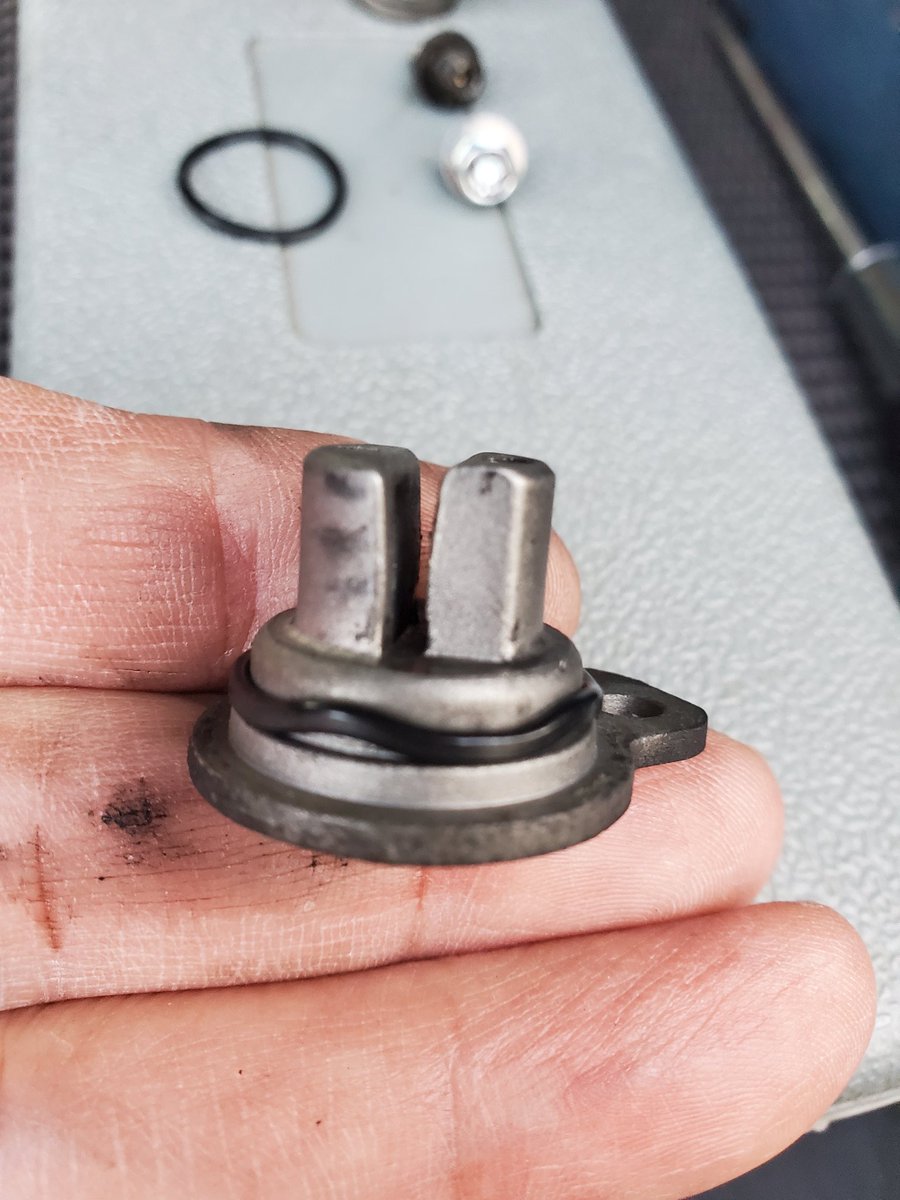 いばらきのなまはげ tweet media