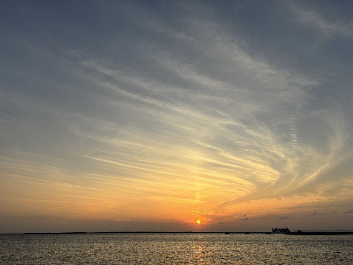 ゼブラとら太郎 tweet media