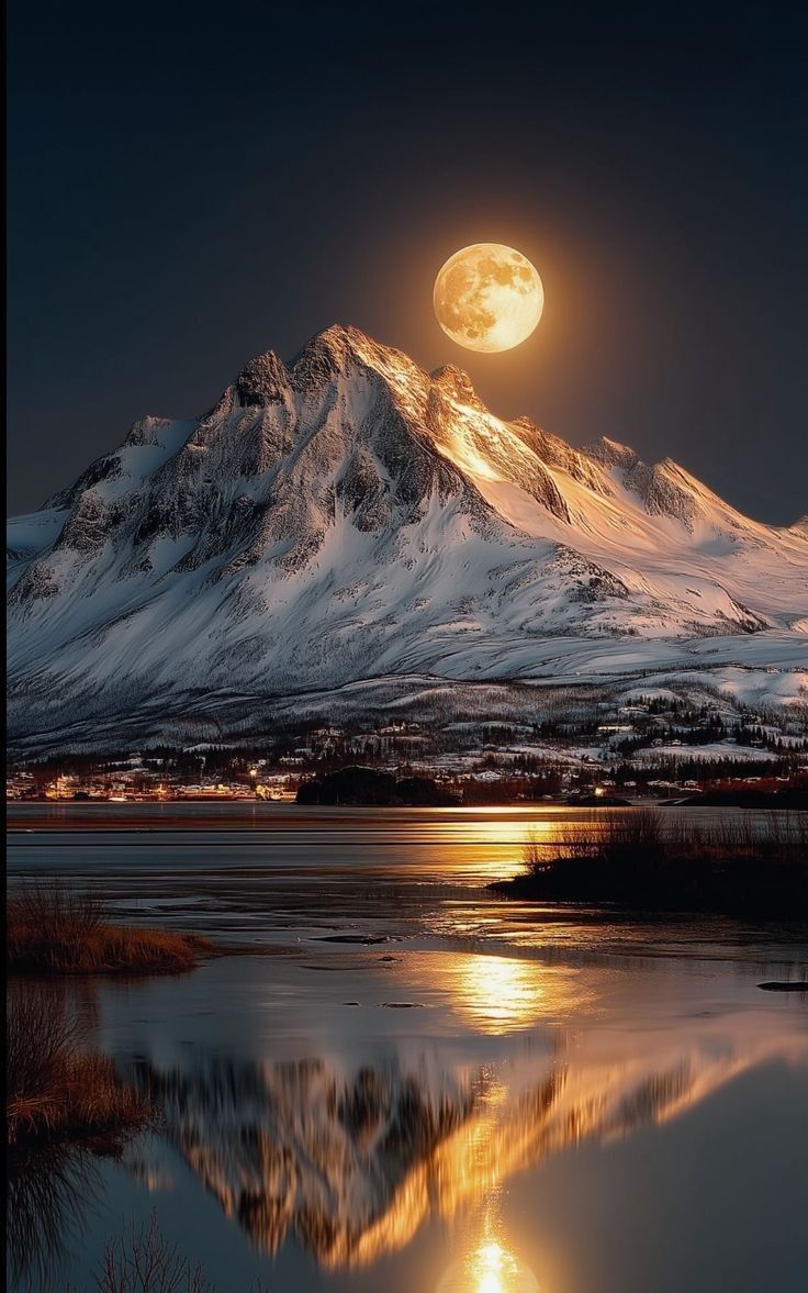 MOON 🌙 tweet media