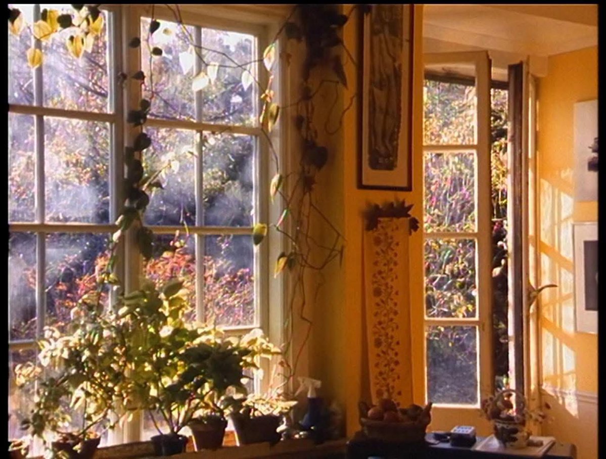 Francisco Ribeiro tweet media