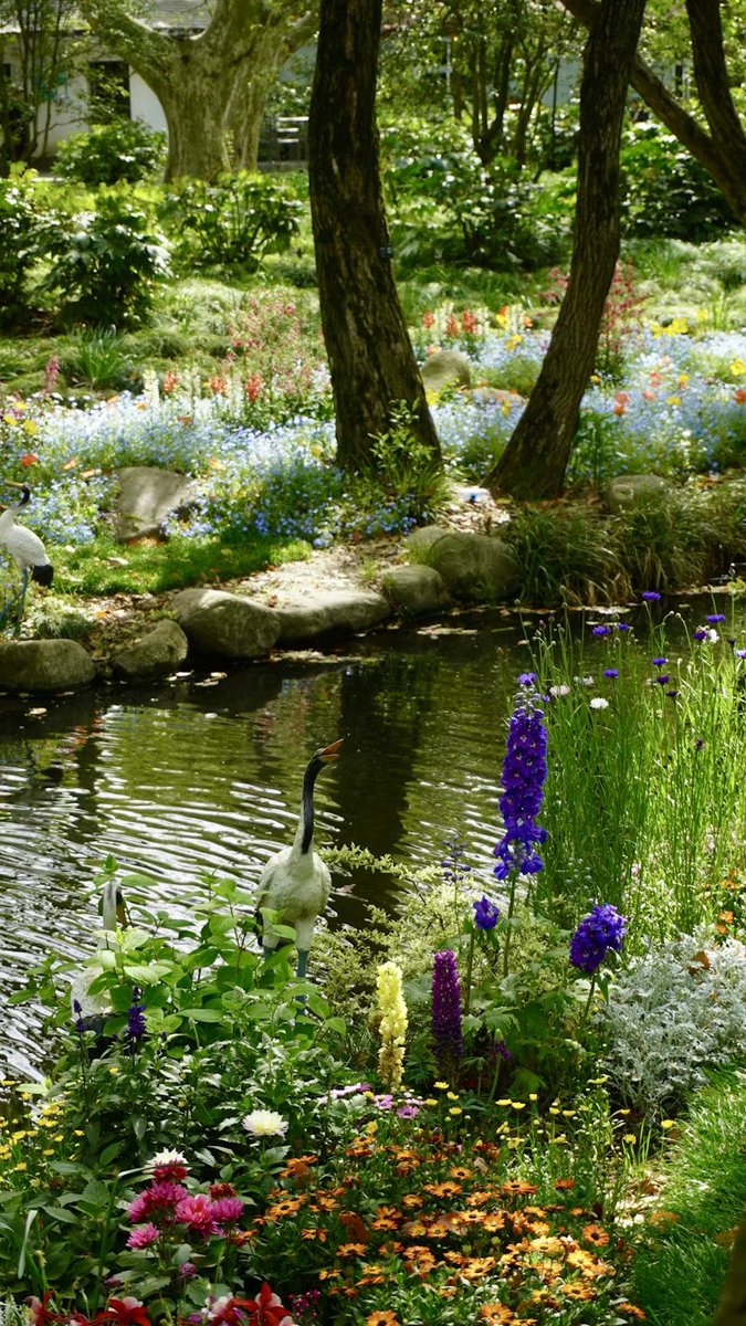 A Beautiful Day to you All..💚🌿