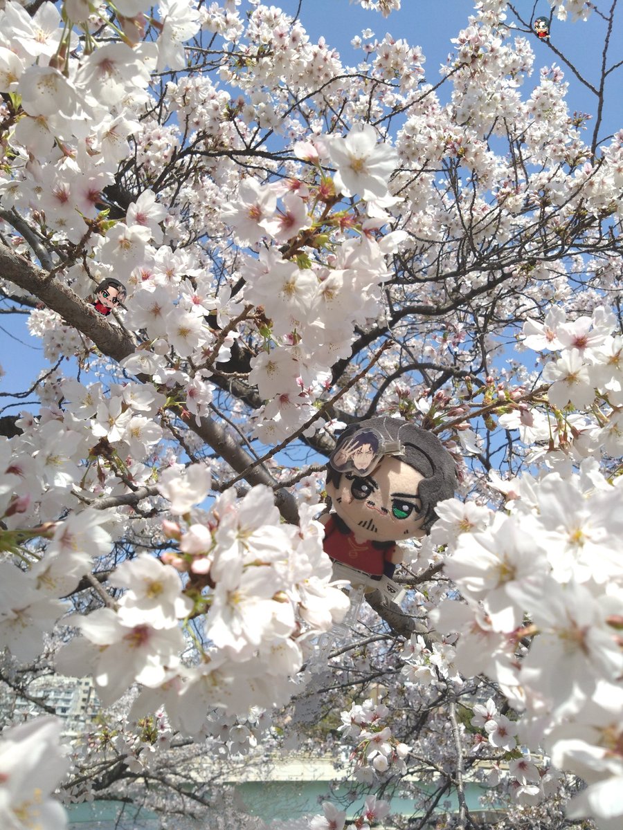 生乾き tweet media