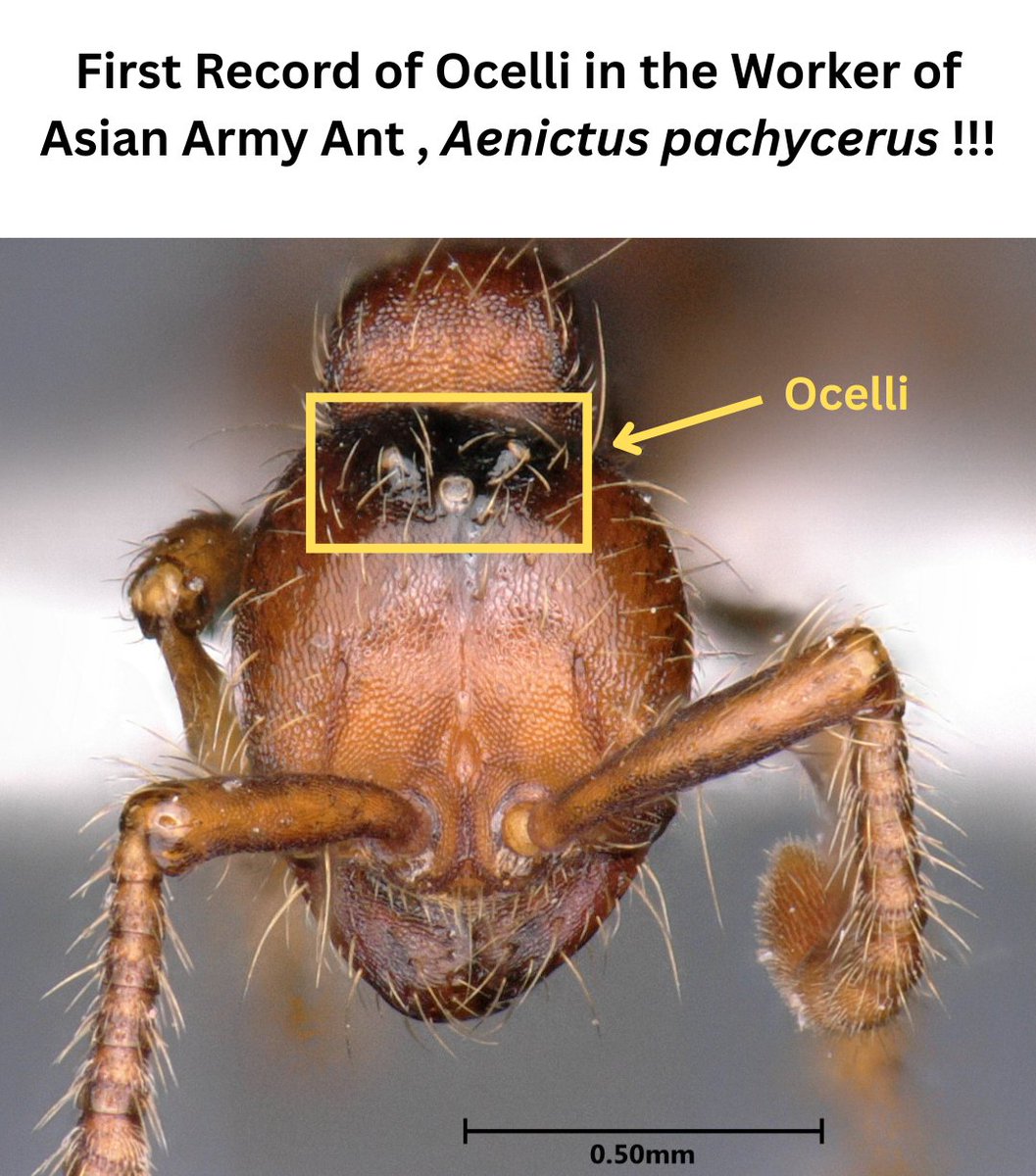 BioGeoSys tweet media